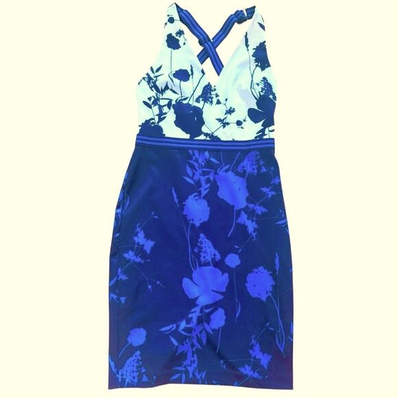 Ted Baker Tilliai Bluebell Bodycon Dress Size Tb 3  US Sz 8 NWT - Picture 2 of 9